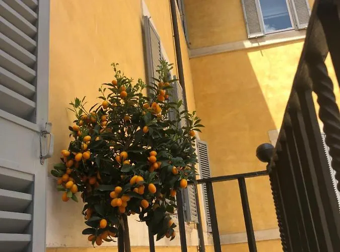 New! Bellissimo Palazzofranchi Pantheon *